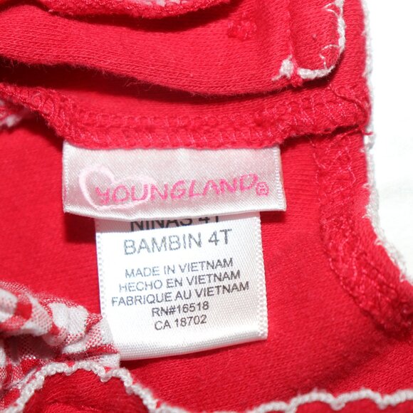 🐞🍓 Ladybug Gingham Dress – Size 4T · Youngland · Picnic Party Ready - Picture 3 of 6